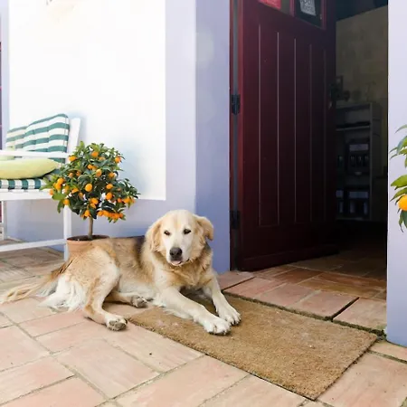 Lejlighedshotel Casa Da Vinha - Eco Turismo Rural, Monte Da Casteleja - Wine Estate *