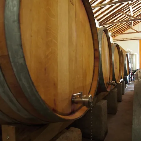 Casa Da Vinha - Eco Turismo Rural, Monte Da Casteleja - Wine Estate Aparthotel 3*