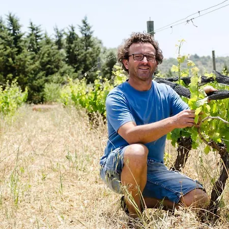 Lägenhetshotell Casa Da Vinha - Eco Turismo Rural, Monte Da Casteleja - Wine Estate 3*