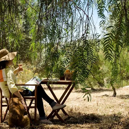 Casa Da Vinha - Eco Turismo Rural, Monte Da Casteleja - Wine Estate