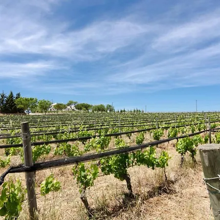 Casa Da Vinha - Eco Turismo Rural, Monte Da Casteleja - Wine Estate 3*
