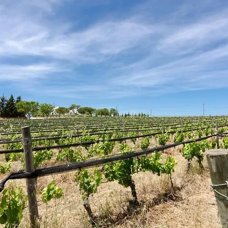 Casa Da Vinha - Eco Turismo Rural, Monte Da Casteleja - Wine Estate *