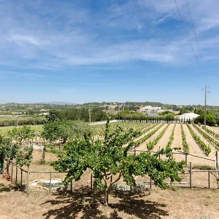 Casa Da Vinha - Eco Turismo Rural, Monte Da Casteleja - Wine Estate 3* Λάγος